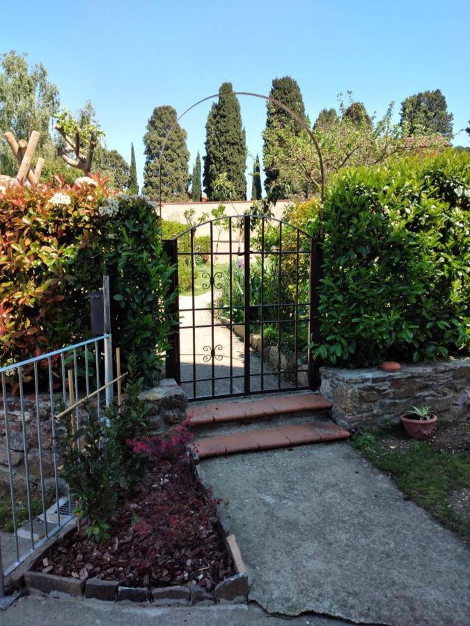 Villa Pepe House Capannori Exterior foto